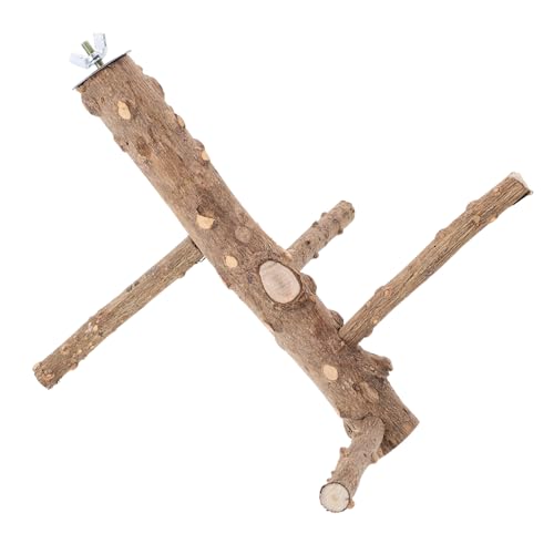BELLIFFY Papagei Barsch Vogel Ständer Käfig Zubehör Holz Vogel Barsch Papagei Spielzeug Sittich Holz Barsch Ständer BELLIFFY Papagei Barsch Vogel Ständer Käfig Zubehör Holz Vogel Barsch Papagei Spielzeug Sittich Holz Barsch Ständer von BELLIFFY