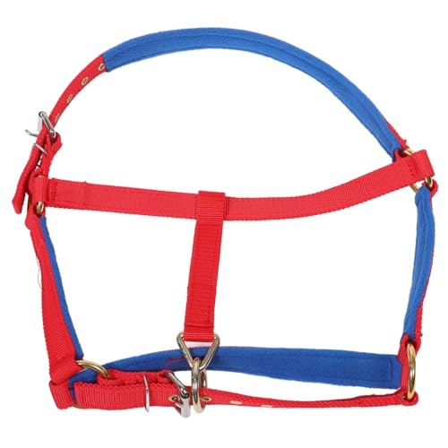 BELLIFFY Verstellbarer Halfter Für Pferd Sicher Und Bequem Aus Langlebigen Materialien Geeignet Für Training Und Reiten BELLIFFY Verstellbarer Halfter Für Pferd Sicher Und Bequem Aus Langlebigen Materialien Geeignet Für Training Und Reiten von BELLIFFY