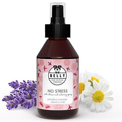 Belly - Anti Stress Spray Beruhigungsmittel für Hunde - Hunde Beruhigungsmittel wirkt wie Baldrian für Hunde - auch für Welpen - einfacher als Tabletten,Hunde Relax Spray,Beruhigungsmittel Hund 250ml von BELLY OUR MUTUAL FRIEND