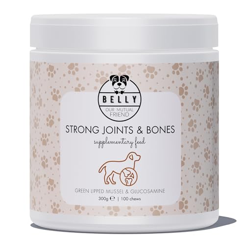 Belly® 100 Snacks für starke Gelenke mit Grünlippmuschel Hund - Leckerli mit Huhn statt Gelenktabletten Hund, Gelenk- & Knochenschutz für Hunde, 300g von BELLY OUR MUTUAL FRIEND