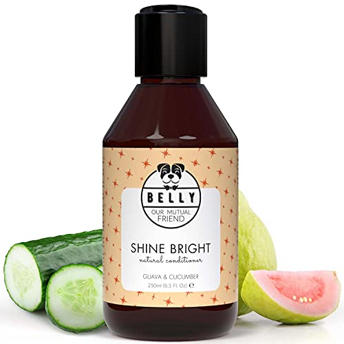 Belly - Veganer Hundeshampoo Conditioner für Hunde Shampoo - 250ml - Fellpflege, Hunde Conditioner als Hundeshampoo gegen Geruch, Hundeshampoo langhaar, Dog Shampoo & Puppy Shampoo Belly - Veganer Hundeshampoo Conditioner für Hunde Shampoo - 250ml - Fellpflege, Hunde Conditioner als Hundeshampoo gegen Geruch, Hundeshampoo langhaar, Dog Shampoo & Puppy Shampoo von BELLY OUR MUTUAL FRIEND