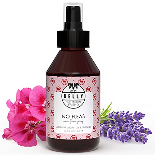 Belly Flohmittel für Hunde - 250ml - Floh- und Zeckenschutz ohne Flecken oder Rückstände, Flohspray wehrt Flöhe, Zecken und Mücken ab, vegan Belly Flohmittel für Hunde - 250ml - Floh- und Zeckenschutz ohne Flecken oder Rückstände, Flohspray wehrt Flöhe, Zecken und Mücken ab, vegan von BELLY OUR MUTUAL FRIEND