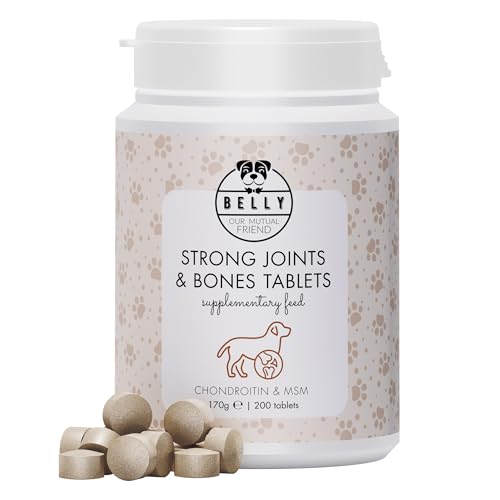 Belly® Gelenktabletten Hund mit MSM - 100 Tabletten - Starke Knochen & Gelenke mit Gelenktabletten für Hunde, Joint Care Hund, Gelenk- & Knochenschutz für Hunde mit MSM, Glucosamin, Chondroitin, Hefe von BELLY OUR MUTUAL FRIEND