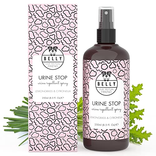 Belly Hundeabwehrspray - 250ml - Effektives Spray zur Hundeabwehr gegen Urinieren im Haus, Urine Stop, Geruchsneutralisierer auch als Kratz & Knabberschutz, Hundeschreck, Anti Urin Spray Hund von BELLY OUR MUTUAL FRIEND