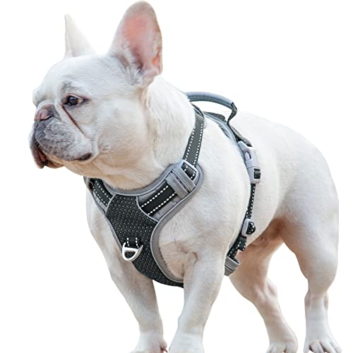 BELPRO Front Clip Hundegeschirr, kein Zuggeschirr für mittelgroße Hunde, reflektierendes und verstellbares Hundegeschirr mit Griff, 2 Metall D-Ringe, perfekt für Training, Wandern Schwarz M von BELPRO