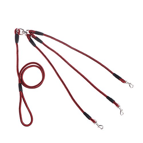 BELTI Triple Dogs Leash Coupler Lead mit weichem Nylongriff zum Gehen von 3 Hunden nach draußen von Belti