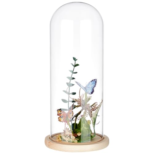 BENECREAT 11,7 x 30 cm Ewige transparente Blumen-Glasabdeckung, Glasvitrine mit blanchiertem Mandel-Massivholzsockel für DIY-Blumenhandwerk BENECREAT 11,7 x 30 cm Ewige transparente Blumen-Glasabdeckung, Glasvitrine mit blanchiertem Mandel-Massivholzsockel für DIY-Blumenhandwerk von BENECREAT