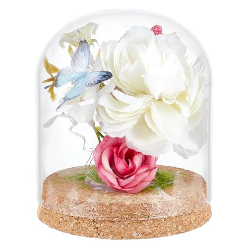 BENECREAT 12,7 x 10,2 cm Glaskuppel Glocke mit Korkboden, Glaskuppel dekorative Gläser, Glockengläser für Blume, Valentinstag, Dekoration, Innendurchmesser: 9,5 cm BENECREAT 12,7 x 10,2 cm Glaskuppel Glocke mit Korkboden, Glaskuppel dekorative Gläser, Glockengläser für Blume, Valentinstag, Dekoration, Innendurchmesser: 9,5 cm von BENECREAT