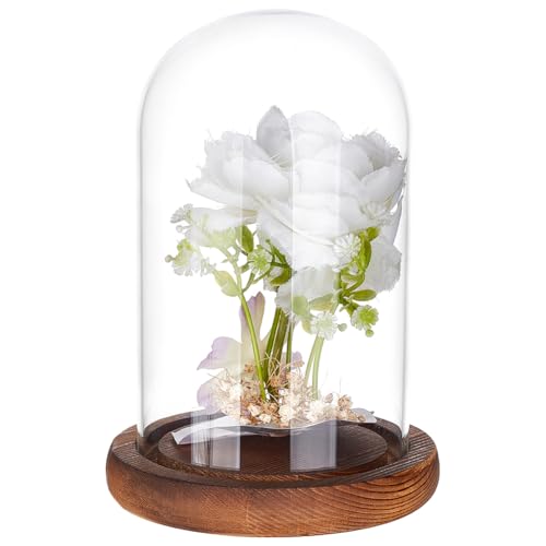 BENECREAT 8,9 x 14,7 cm Ewige transparente Blumen-Glasabdeckung, Glasvitrine mit braunem Massivholzsockel für DIY-Blumenhandwerk BENECREAT 8,9 x 14,7 cm Ewige transparente Blumen-Glasabdeckung, Glasvitrine mit braunem Massivholzsockel für DIY-Blumenhandwerk von BENECREAT