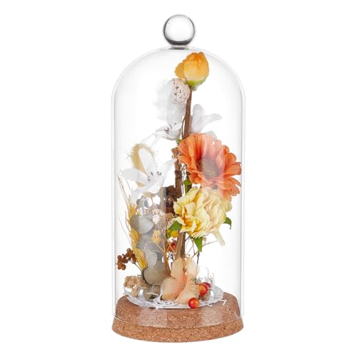 BENECREAT Glasglocke mit rundem Griff oben, 20,3 x 8,9 cm, dekorative Gläser, Glasabdeckung mit Korkboden für Exemplare, Pflanzen, DIY-Dekoration BENECREAT Glasglocke mit rundem Griff oben, 20,3 x 8,9 cm, dekorative Gläser, Glasabdeckung mit Korkboden für Exemplare, Pflanzen, DIY-Dekoration von BENECREAT