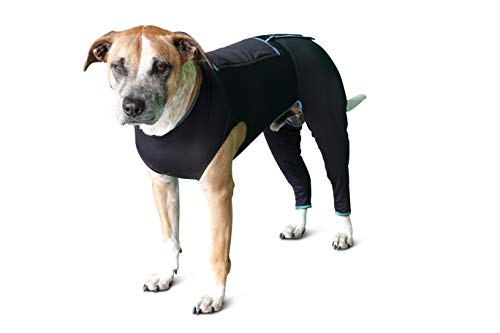 BENEFAB Therapeutischer Komfortanzug für Hunde – Leichte Ferninfrarotjacke für Hunde jeden Alters – Entspannender FIR Kompressionsanzug beruhigt Muskeln, Gelenke und Schmerzen (Medium) von BENEFAB