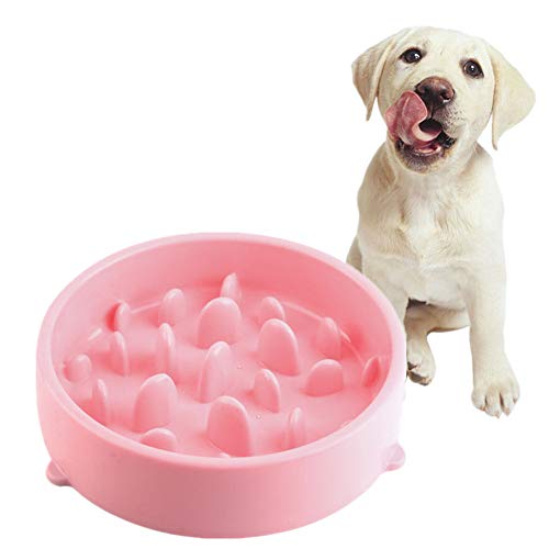Anti Schling Napf Katzen Anti Schling Napf Hunde Hundenäpfe rutschfest Dog Treat Puzzle Spielzeug Hund Anti Choke Bowl Katzenfutterschale pink von BENHAI