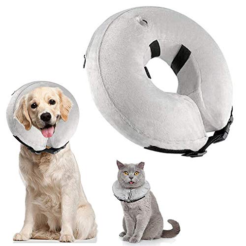 Aufblasbar Halsband für Haustier Trichter Hund Hundehalsbänder Nach Biss Hundekegel weich Recovery Collar Cone für Hautausschläge Gray,XL von BENHAI