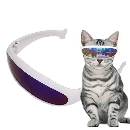 BENHAI Hunde Sonnenbrille Hundesonnenbrille Augenschutzbrille Schutzbrille Faltbare Hundesonnenbrille Hundebrille Augenschutz UV-Brille für Hund Blue BENHAI Hunde Sonnenbrille Hundesonnenbrille Augenschutzbrille Schutzbrille Faltbare Hundesonnenbrille Hundebrille Augenschutz UV-Brille für Hund Blue von BENHAI
