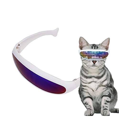 BENHAI Hunde Sonnenbrille Hundesonnenbrille Augenschutzbrille Schutzbrille Faltbare Hundesonnenbrille Hundebrille Augenschutz UV-Brille für Hund red von BENHAI