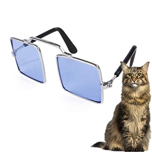 BENHAI Sonnenschutz Hund Hundesonnenbrille Faltbare Hundesonnenbrille Welpen Sonnenbrille Schutzbrille wasserdichte Hundebrille UV-Brille für Hund Blue BENHAI Sonnenschutz Hund Hundesonnenbrille Faltbare Hundesonnenbrille Welpen Sonnenbrille Schutzbrille wasserdichte Hundebrille UV-Brille für Hund Blue von BENHAI