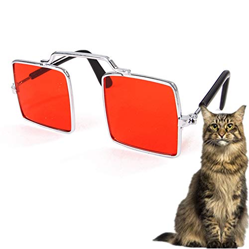 BENHAI Sonnenschutz Hund Hundesonnenbrille Faltbare Hundesonnenbrille Welpen Sonnenbrille Schutzbrille wasserdichte Hundebrille UV-Brille für Hund red BENHAI Sonnenschutz Hund Hundesonnenbrille Faltbare Hundesonnenbrille Welpen Sonnenbrille Schutzbrille wasserdichte Hundebrille UV-Brille für Hund red von BENHAI