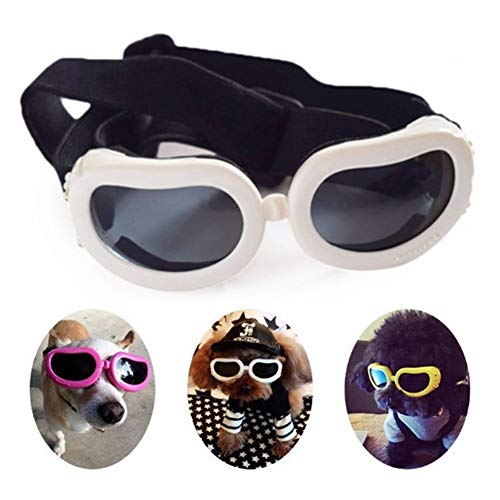 Brille Hund Hunde Sonnenbrille Welpen Sonnenbrille wasserdichte Hundebrille Faltbare Hundesonnenbrille Hundebrille Augenschutz Gläser für Katzen White Brille Hund Hunde Sonnenbrille Welpen Sonnenbrille wasserdichte Hundebrille Faltbare Hundesonnenbrille Hundebrille Augenschutz Gläser für Katzen White von BENHAI