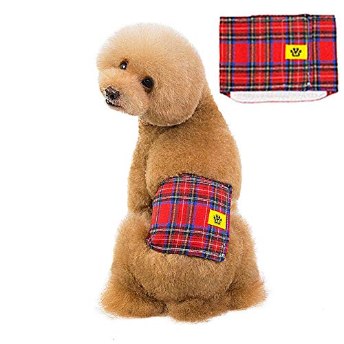 Hundewindeln RüDe Hundewindeln Hundesaison Hose groß Hygienehosen für Hunde Hund Windel männlich Windeln für Rüden Hund Windeln weiblich klein red,s Hundewindeln RüDe Hundewindeln Hundesaison Hose groß Hygienehosen für Hunde Hund Windel männlich Windeln für Rüden Hund Windeln weiblich klein red,s von BENHAI