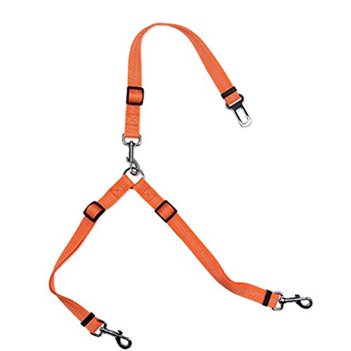 Sicherheitsgurt Hunde Hundegurt Fürs Auto Hund Auto Sicherheitsgurt Hundegeschirr im Auto Hundegeschirr für Auto Hundefesseln für Auto orange Sicherheitsgurt Hunde Hundegurt Fürs Auto Hund Auto Sicherheitsgurt Hundegeschirr im Auto Hundegeschirr für Auto Hundefesseln für Auto orange von BENHAI