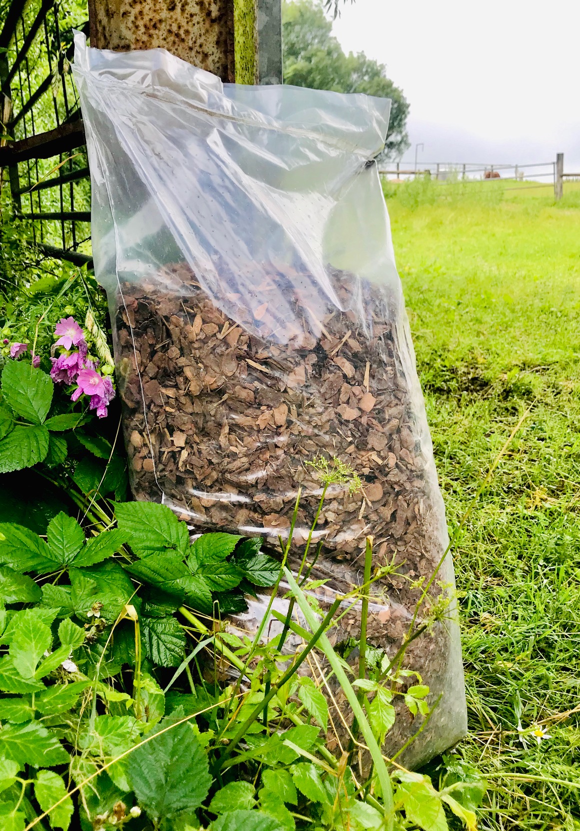 SAWIbiocom® Rindenschrot 8,5kg  50 Liter - 100 % natürlich von BERGER BIOTECHNIK®