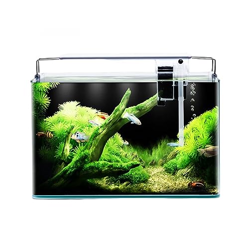 BERO Fischtank Wohnzimmer Fischtank Transparent Hot Bend Rechteckig Glas Goldfisch Tank Schreibtisch Aquarium Haushalt Aquascape Dekoration-C||60 * 30 * 35cm von BERO