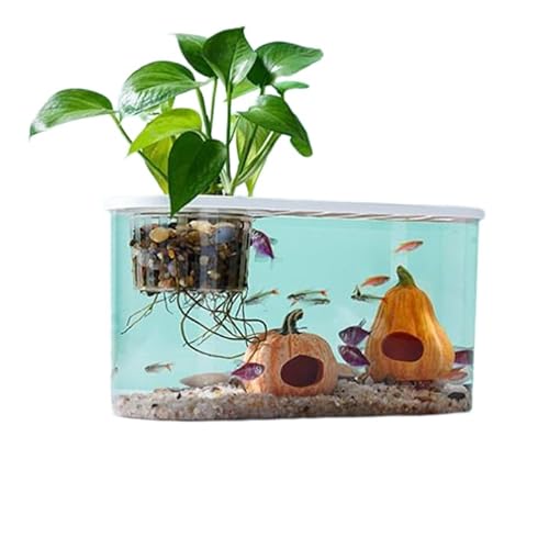 BERO Pumpkin House Fish Tank Wohnzimmer Haushalt Lazy Desktop Plastic Small and Medium Sized Aquascape Aquarium Eco Creative Goldfish Aquarium-Medium von BERO