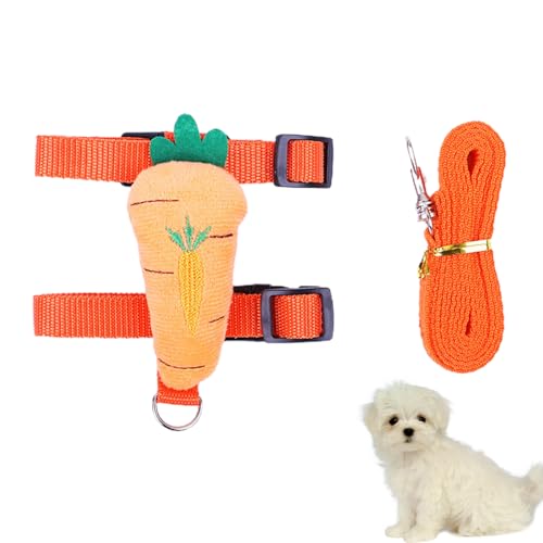 Hundeleinen für kleine Hunde, Haustier-Leinen-Set für Training und Outdoor-Aktivitäten – Hundetrainingsprodukte, Hundebekleidungszubehör, Outdoor-Hundebedarf Bero Hundeleinen für kleine Hunde, Haustier-Leinen-Set für Training und Outdoor-Aktivitäten – Hundetrainingsprodukte, Hundebekleidungszubehör, Outdoor-Hundebedarf Bero von BERO