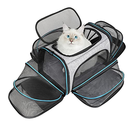 BERTASCHE Transporttasche für Katzen Kleine Hunde Faltbar Tragetasche Katze Transportbox für Flugzeug Auto Reise von BERTASCHE