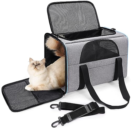 BERTASCHE Transporttasche für Katzen Hunde bis zu 7kg Transportbox Faltbar Tragetasche Katzentransporttasche für Reisen im Auto Zug von BERTASCHE