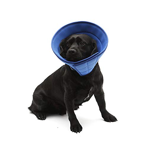 Weiche Haustier-E-Collar Comfy Kegel Einstellbare Schutzhülle Hals Cone Haustier Hund Katze Erholung Kegel-Kragen Breathable Halskragen (Color : Blue, Size : 1#) von BERULL
