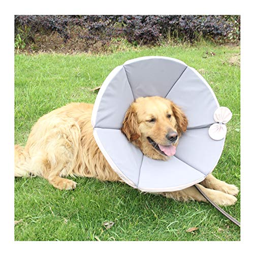 Weiche Haustier-Recovery-Collar Nicht Blockiert Vision-Hund Katze Schutzwundheilungs Adjustable Medical Elizabeth Hund Individuelle Kegel-Kragen (Color : Gray, Size : 3XL) von BERULL