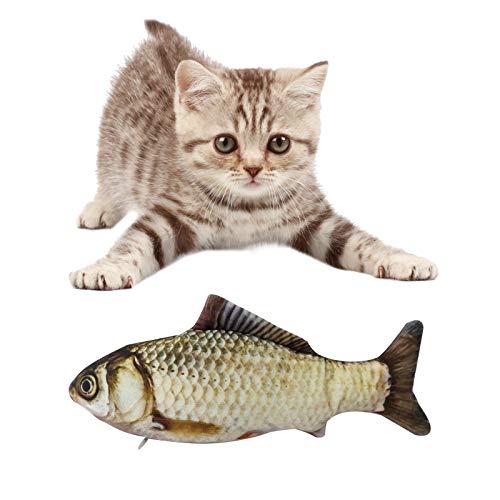 BERYCH Katzenminze Fisch Spielzeug für Katze,30cm Fisch Haustier Interaktive Spielzeug, für Katze, Kitty Spielt, Kaut, Beißen Kissen, Karpfen Simulation Plush Fisch von BERYCH