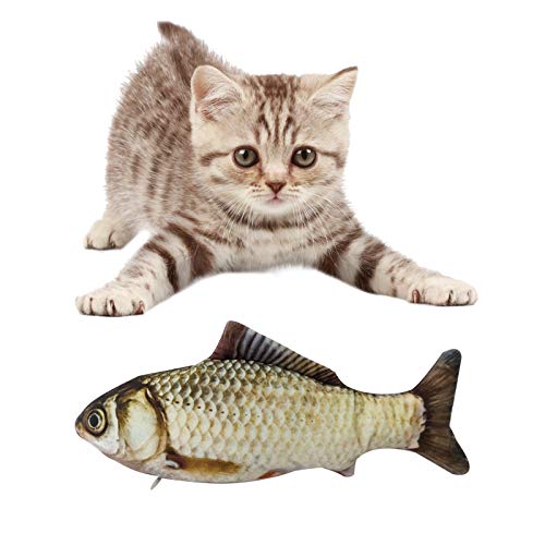 BERYCH Katzenminze Fisch Spielzeug für Katze,30cm Fisch Haustier Interaktive Spielzeug, für Katze, Kitty Spielt, Kaut, Beißen Kissen, Karpfen Simulation Plush Fisch BERYCH Katzenminze Fisch Spielzeug für Katze,30cm Fisch Haustier Interaktive Spielzeug, für Katze, Kitty Spielt, Kaut, Beißen Kissen, Karpfen Simulation Plush Fisch von BERYCH