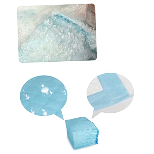 BESPORTBLE 1 Packung Hunde Trainingswindel XL PIPI Pads Hunde PIPI Pads Haustier Trainingspad Haustier Urinmatte Hunde Töpfchen Pads Hunde Pads Kleine Hunde PIPI Pad Welpen Pad BESPORTBLE 1 Packung Hunde Trainingswindel XL PIPI Pads Hunde PIPI Pads Haustier Trainingspad Haustier Urinmatte Hunde Töpfchen Pads Hunde Pads Kleine Hunde PIPI Pad Welpen Pad von BESPORTBLE