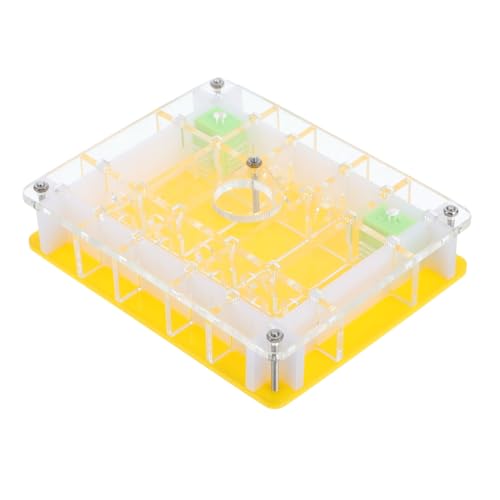 BESPORTBLE 1 Satz Ameisennest Ameisenwerkstatt Futterbehälter für Ameisen Spielzeuge Haustier Ameisenschloss aus Acryl Ameisenfall horizontaler Schnitt Fütterungsbox Geschenk von BESPORTBLE