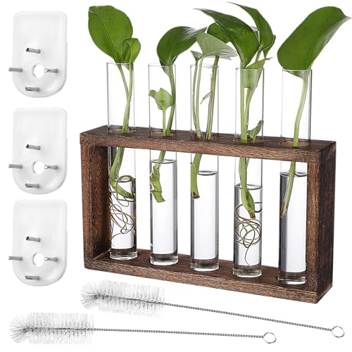 BESPORTBLE Terrarium-vase Ständer Pflanzenvermehrung Wandbehang Set Aus Glas-blumentöpfen Für Die Dekoration Im Home Office von BESPORTBLE
