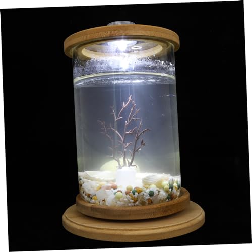 BESPORTBLE 1satz Desktop Fischbecken Mit -Lampe Kreatives Ökosystem Für Dekoration Im Büro Und Zuhause Stilvolle Fischschale Für Innenräume Langlebiges Und Stabiles Material Für BESPORTBLE 1satz Desktop Fischbecken Mit -Lampe Kreatives Ökosystem Für Dekoration Im Büro Und Zuhause Stilvolle Fischschale Für Innenräume Langlebiges Und Stabiles Material Für von BESPORTBLE
