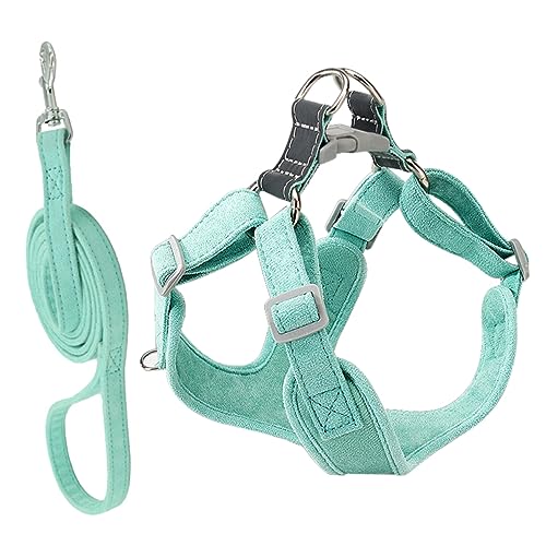 BESPORTBLE 2 Teiliges Set Für Tragbares Hundegeschirr Verstellbares Widerstandsfähiges Geschirr Und Leine Für Kleine Hunde Hundeaccessoire Minzgrün Größe Ideal Für Welpen Und von BESPORTBLE