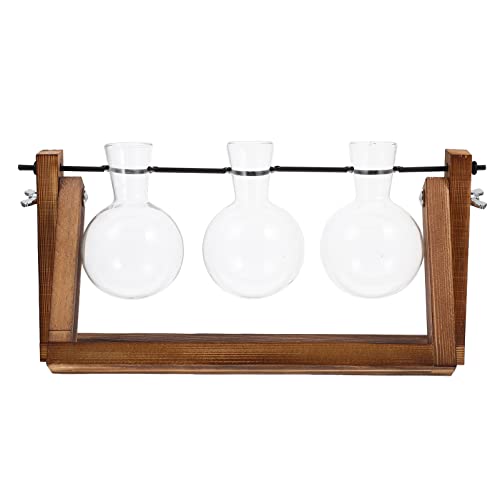 BESPORTBLE Hydroponische Blumenvase Schreibtischständer - Übertopf Aus Holz Und Glas Natürliches Wohndekor BESPORTBLE Hydroponische Blumenvase Schreibtischständer - Übertopf Aus Holz Und Glas Natürliches Wohndekor von BESPORTBLE