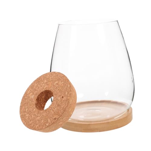BESPORTBLE 1 Satz Hydroponischer Blumentopf The Office büroradio stieltopf Office deko Moos-Terrarium café Einmachglas Moos ökologische Flasche Terrarienglas aus Glas Kleiner Fischtank Bambus von BESPORTBLE