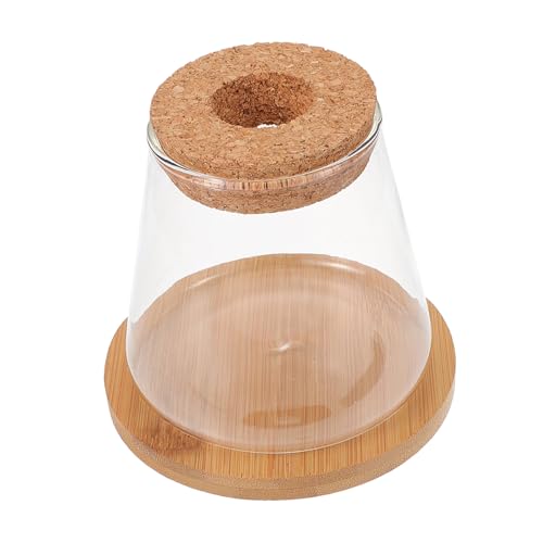 BESPORTBLE 1 Satz Hydroponisches Aquarium aus Glas Aquariumvase kleines goldenes Aquarium Terrarium klein holzdeckel Glasterrarium glasierte Vase ökologische Flasche Moos Landschaft Container von BESPORTBLE