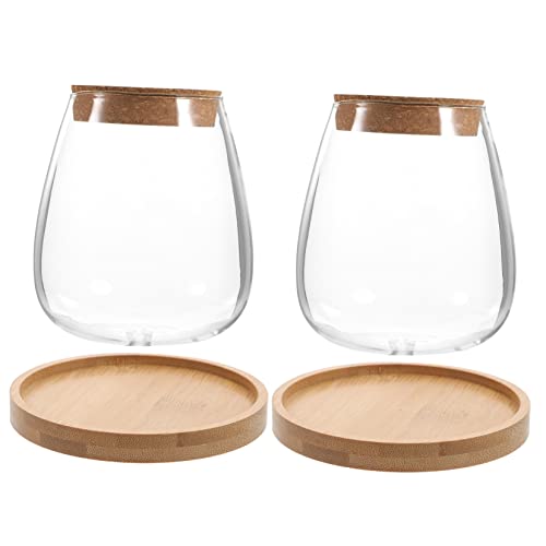 BESPORTBLE Landschaftsflasche | Pflanzenbehälter Aus Glas Mit Deckel | Ökologische Flasche Für Luftpflanzen | Einzigartige Tischdekoration | Versiegeltes Gefäß Für Pflanzen BESPORTBLE Landschaftsflasche | Pflanzenbehälter Aus Glas Mit Deckel | Ökologische Flasche Für Luftpflanzen | Einzigartige Tischdekoration | Versiegeltes Gefäß Für Pflanzen von BESPORTBLE