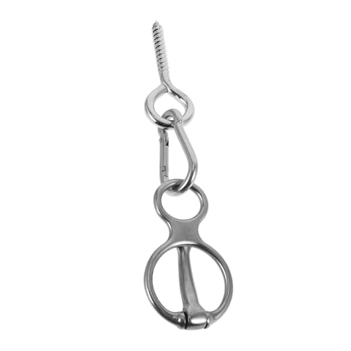 BESPORTBLE 1 Satz Pferdeseil Aus Edelstahl Reitpferd Sattelring Für Pferde Krawattenring Auf Humane Art Und Weise Pferdegeschirr Kette Für Pferde Halfter Für Pferde Rostfreier Stahl Silver BESPORTBLE 1 Satz Pferdeseil Aus Edelstahl Reitpferd Sattelring Für Pferde Krawattenring Auf Humane Art Und Weise Pferdegeschirr Kette Für Pferde Halfter Für Pferde Rostfreier Stahl Silver von BESPORTBLE