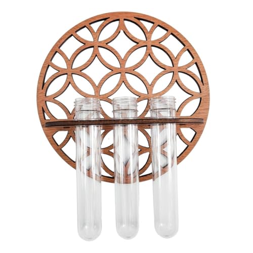 BESPORTBLE Hydrokulturpflanzen Und Vasen-Set Rund Wanddekoration Kunststoff-pflanzgefäß Mit Holzständer Terrarium-blumentopf Für Die Inneneinrichtung von BESPORTBLE