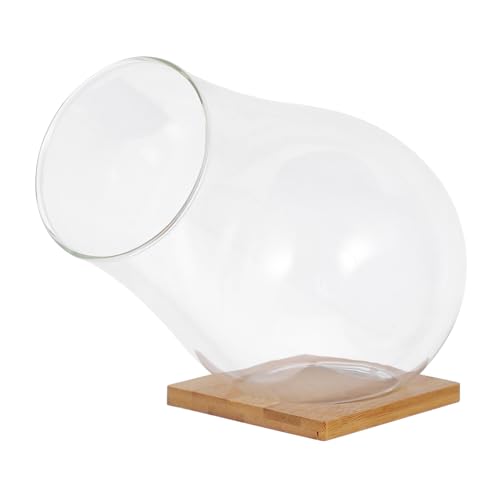 BESPORTBLE Dekorative Glasschale Für Pflanzen Hochzeits-mittelstück Terrarium Pflanzenhalter Glas-pflanzgefäß Für Zuhause von BESPORTBLE