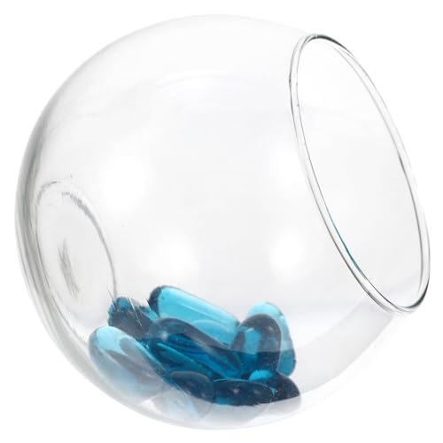 BESPORTBLE 1 Satz Rundes Aquarium aus Glas Netz Bausatz Wasser Aquariumpflanzen für bürodeko hochzeitsdeko hausdeko wohnraumdeko einmachgläser Aquarium mit Perlendesign Fischglas Stein BESPORTBLE 1 Satz Rundes Aquarium aus Glas Netz Bausatz Wasser Aquariumpflanzen für bürodeko hochzeitsdeko hausdeko wohnraumdeko einmachgläser Aquarium mit Perlendesign Fischglas Stein von BESPORTBLE