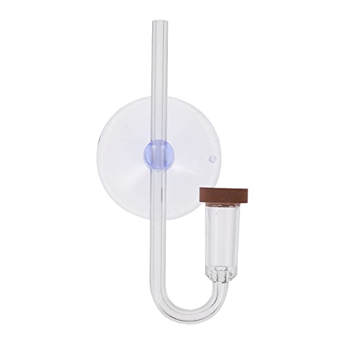 BESPORTBLE 1 Satz Sprudelschale für Aquarien Wasserhahn für Küchenspüle Filter Wasserpumpe Lieferungen UV co2 diffusor augplatte Versorgung mit Aquarien CO2-Diffusionssystem Acryl Transparent von BESPORTBLE