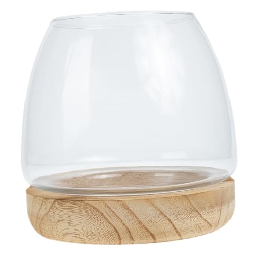 BESPORTBLE 1 Satz Transparentes Glas-Aquarium Tank Luft Schüssel Baum Vermehrungsstation Für Pflanzen Künstlich Aquariumdekorationen Hydroponisches Pflanzenterrarium Panzerspielzeug Hölzern von BESPORTBLE