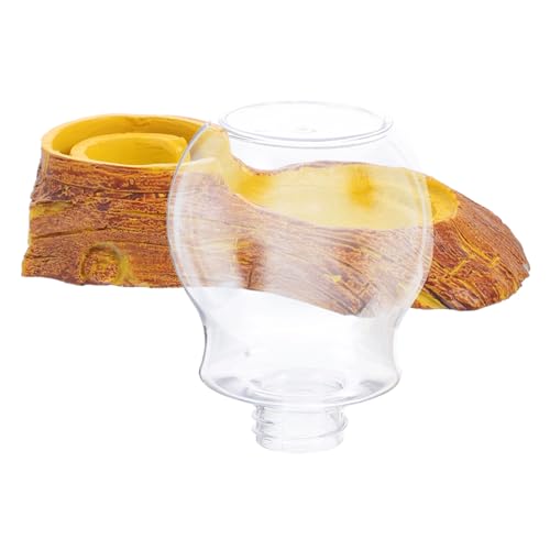 BESPORTBLE Reptile Water Feeder Für Geckos Eidechsen Schildkröten Automatischer Trinknapf Geeignet Für Verschiedene Reptilien Langlebig Und Einfach Zu Reinigen BESPORTBLE Reptile Water Feeder Für Geckos Eidechsen Schildkröten Automatischer Trinknapf Geeignet Für Verschiedene Reptilien Langlebig Und Einfach Zu Reinigen von BESPORTBLE